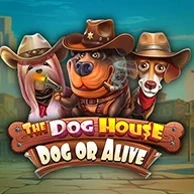 The Dog House – Dog Or Alive – automat internetowy